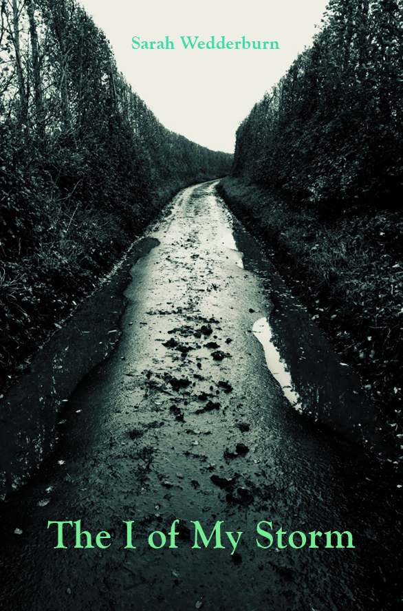 The I of My Storm by Sarah Wedderburn