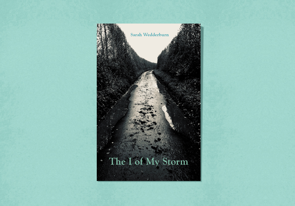 The I of My Storm by Sarah Wedderburn